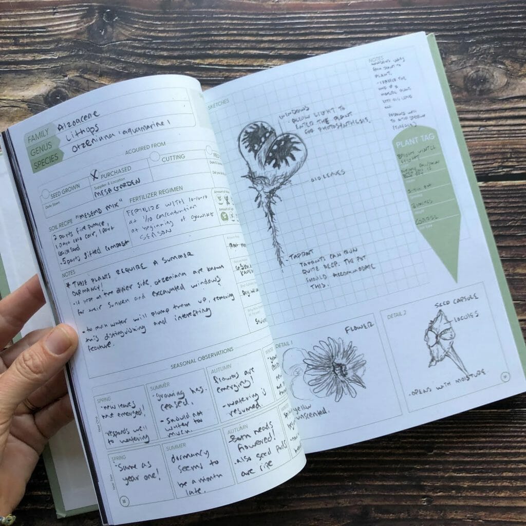 What To Write in a Garden Journal & 5 Garden Journals to Shop - Bailey Van  Tassel