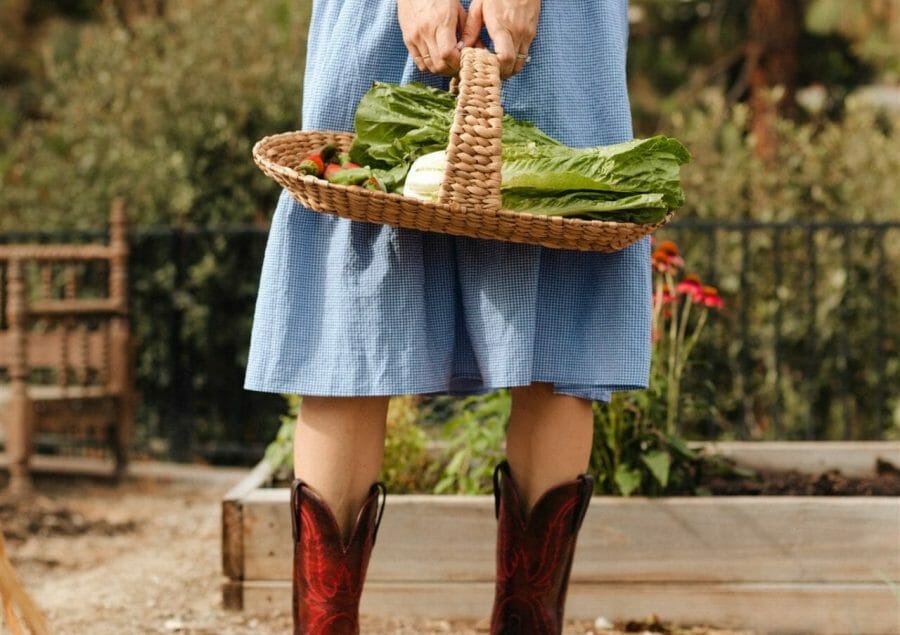 woman holding lettuce in basket