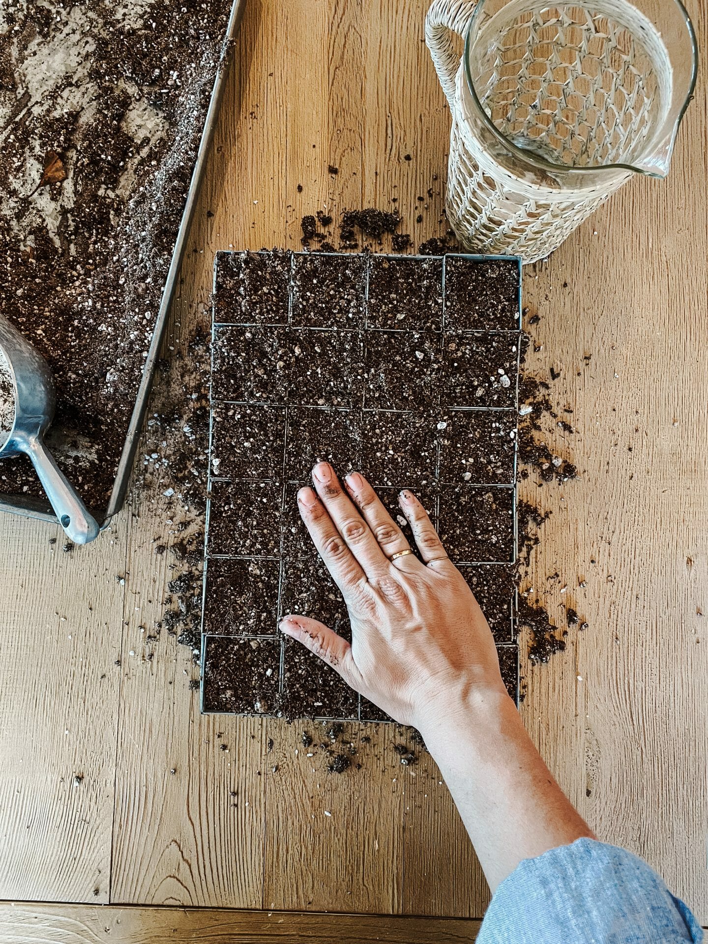 The Seed Starter Tray I'm Using This Year - Bailey Van Tassel