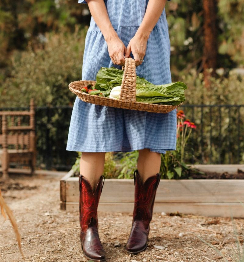 woman holding lettuce in basket